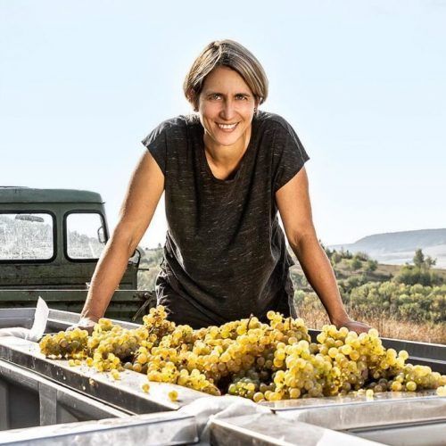 Franken Körble - Weingut Christine Pröstler 1